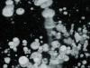 Methane bubbles trapped in frozen river