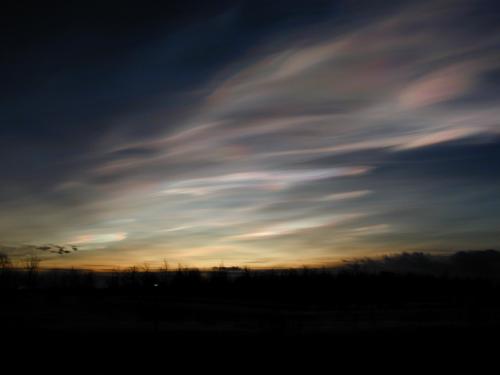 Polaire stratosferische wolken