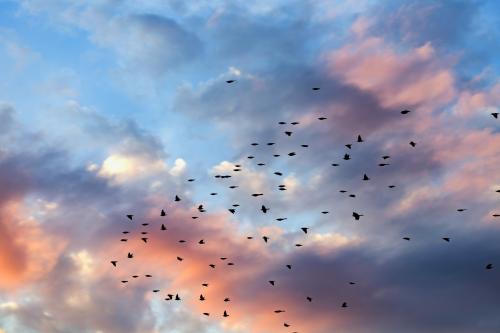 Les couleurs complexes du ciel