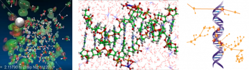 Biological Molecule Particle Excitation
