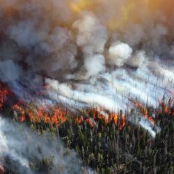 Nitrous acid (HONO) emissions from wildfires