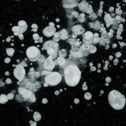Methane bubbles trapped in frozen river