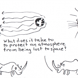 Rhinoceros explains the results.