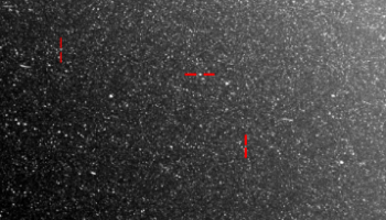 Star Tracker Image