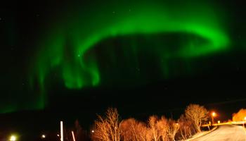Poollicht boven de Noorse Lofoten. Credit: Jeroen van Gent.