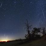 Geminid Meteor Shower Trees Sky City Lights